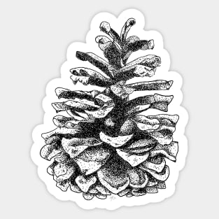 Pinecone Sticker